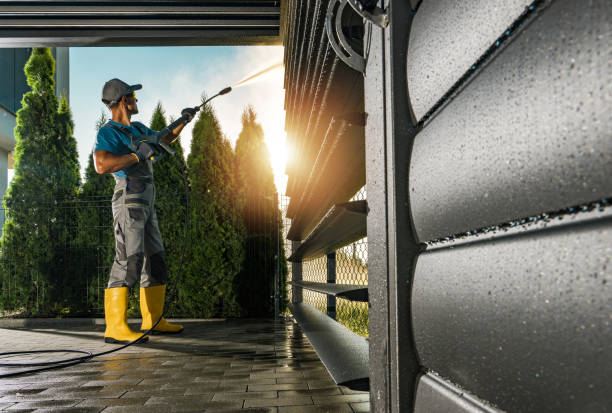 Best Rust Removal  in Philippi, WV